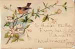 autograph